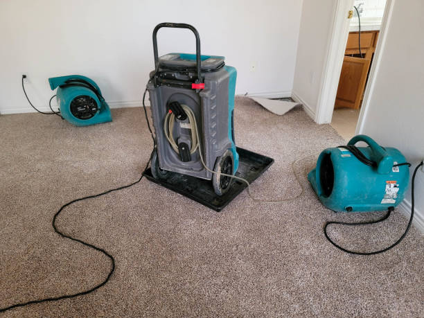 Best Flood damage cleanup  in Courtland, VA
