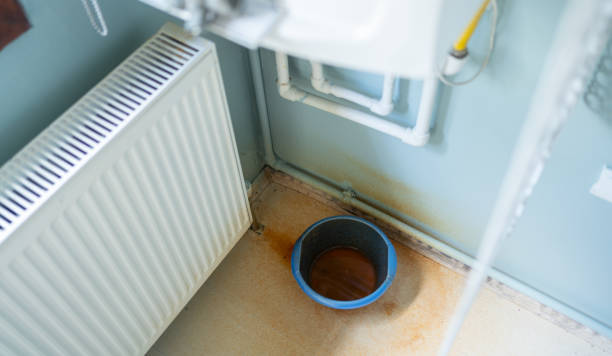 Best Water damage contractors near me  in Courtland, VA